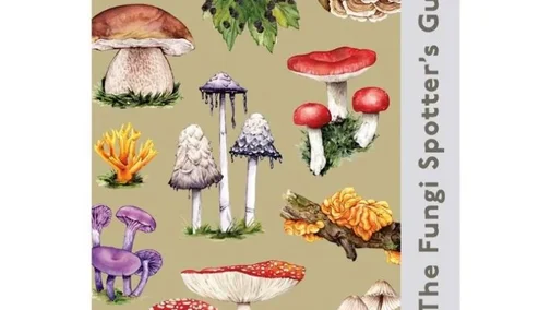 Book cover of The Fungi Spotter's Guide featuring illustrations of various fungi species.